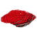 Konvox Aanhangwagennet Rood 1,5x2m